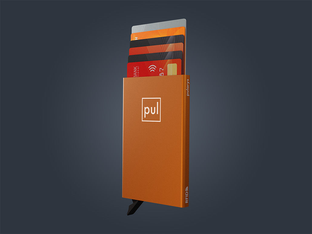 ZEN Credit Card Holder